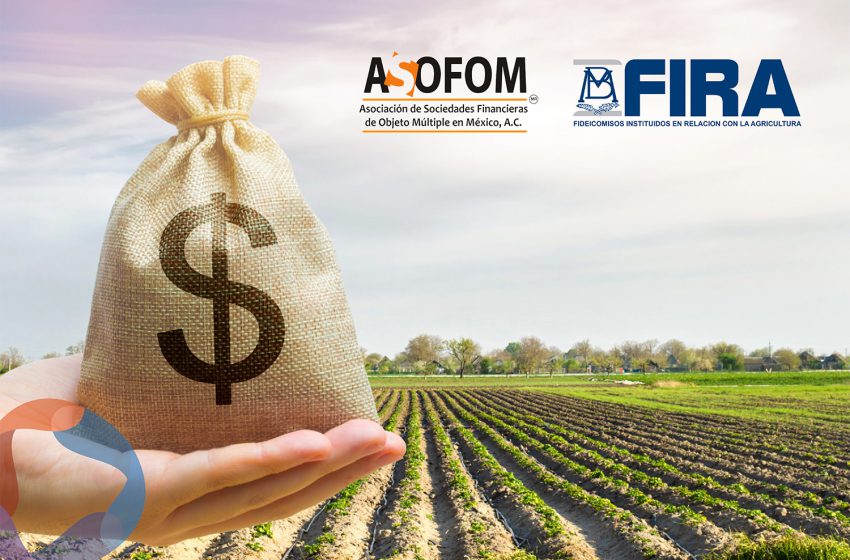  Asofom y Fira suscriben acuerdo para otorgar créditos al Sector Agropecuario