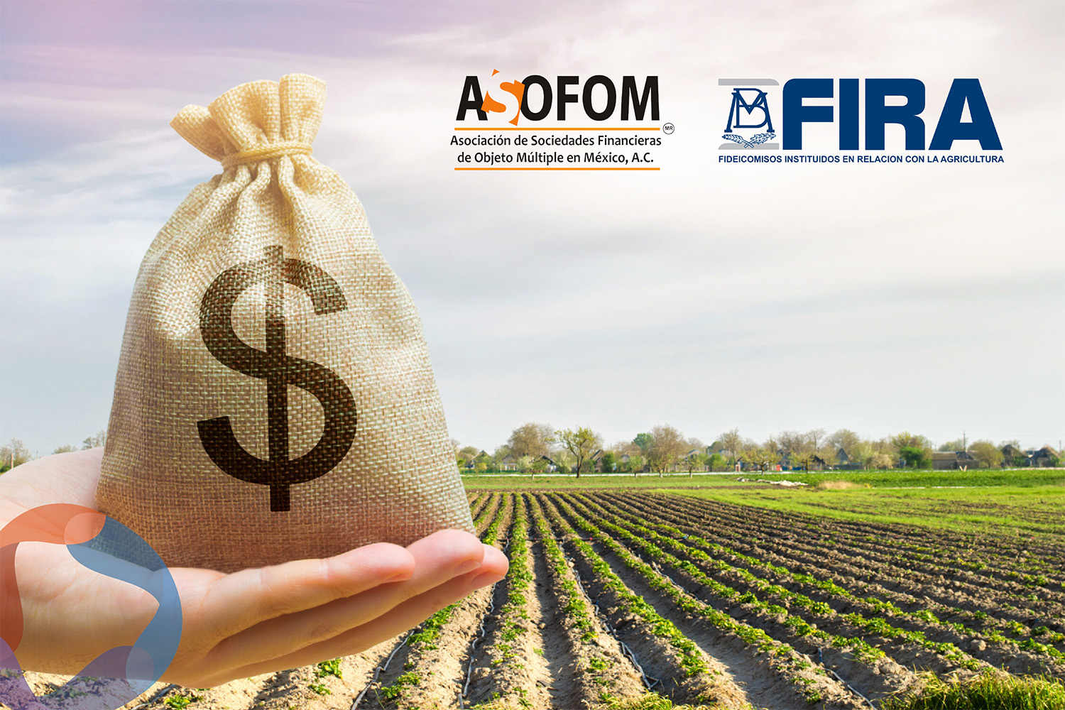 Asofom y Fira suscriben acuerdo para otorgar créditos al Sector Agropecuario