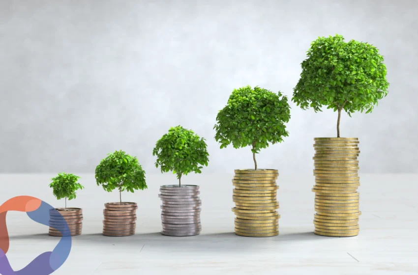  La combinación óptima: ahorro e inversión